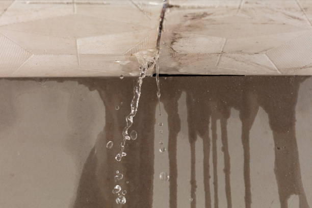 Professional Burst Pipe Cleanup technician working in Westover, AL